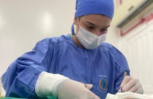 Hospital Veterinário oferece cirurgias a preço social em Orleans