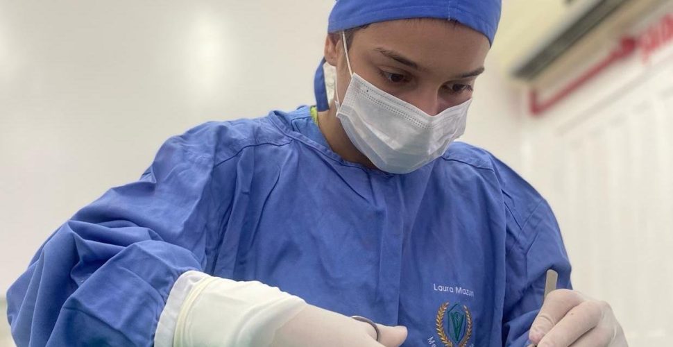 Hospital Veterinário oferece cirurgias a preço social em Orleans