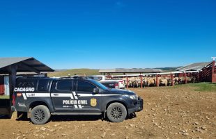 Polícia Civil intensifica combate aos crimes contra o agronegócio por meio do Caoagro