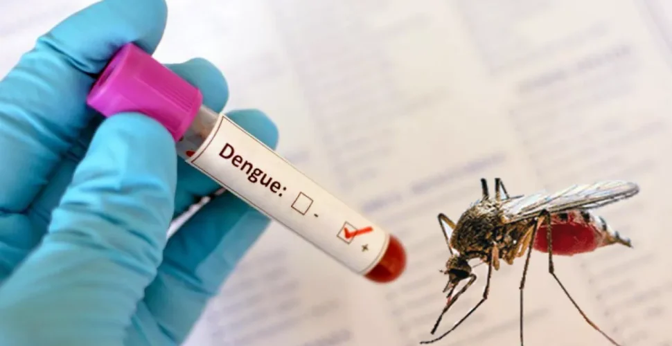 Caso de Dengue é confirmado em Lauro Müller