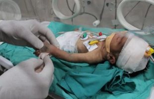 Recém-nascidos começam a morrer de fome em Gaza