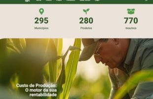 Novo Infoagro: Epagri inova na divulgação de informações sobre safras e preços agrícolas