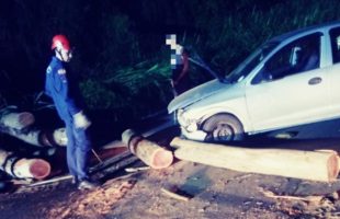 Motorista fica ferida ao colidir em árvore que caiu sobre pista e interditou rodovia em Urussanga