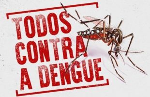 Dengue em SC: estado ultrapassa 100 mil casos prováveis e Saúde alerta para a importância da hidratação