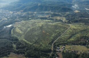 Recuperação ambiental vem mudando a paisagem no Sul catarinense