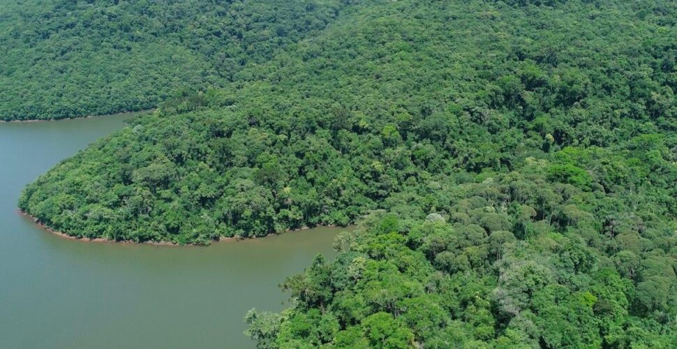 Secretaria do Meio Ambiente completa um ano com foco em progresso econômico mais sustentável