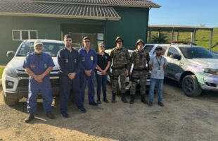 Criação de javalis e javaporcos é eliminada pela Cidasc e Polícia Ambiental, em Treviso
