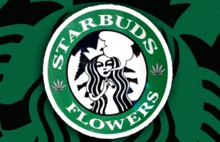 Starbucks processa Starbuds: uma vende café e a outra maconha