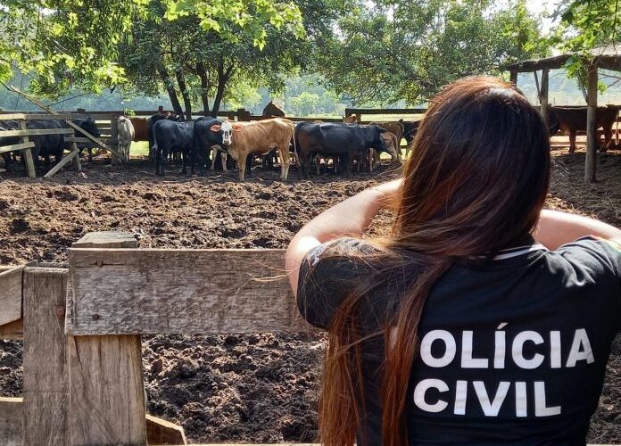 Homem é preso acusado de aplicar golpes em pecuaristas da região