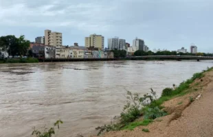 Voluntários se unem para mutirão de limpeza no Rio Tubarão