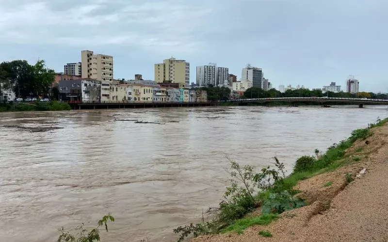 Voluntários se unem para mutirão de limpeza no Rio Tubarão