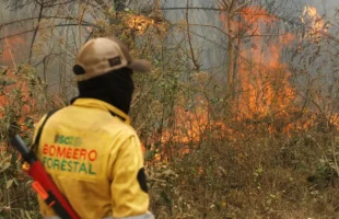 Bolívia está perto de quebrar recorde de incêndios florestais