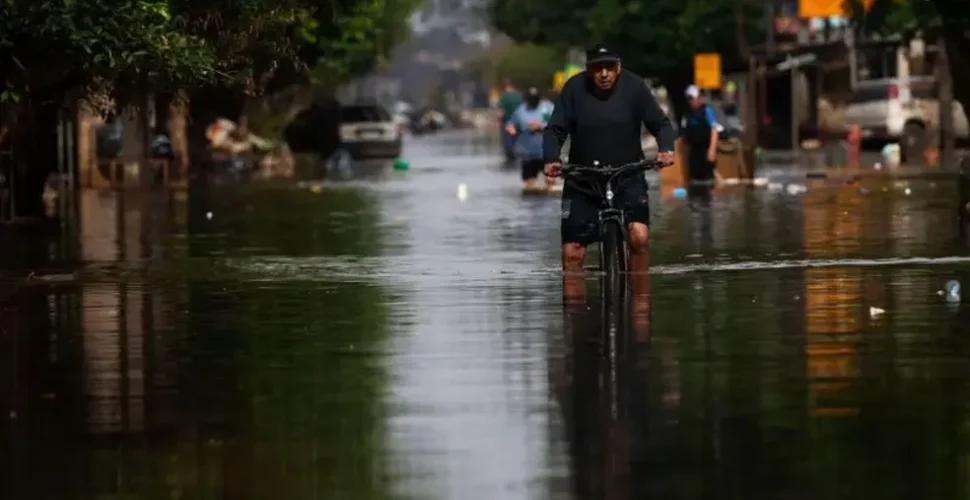 As lições de Japão e Nova Zelândia para reconstrução após desastre no Rio Grande do Sul