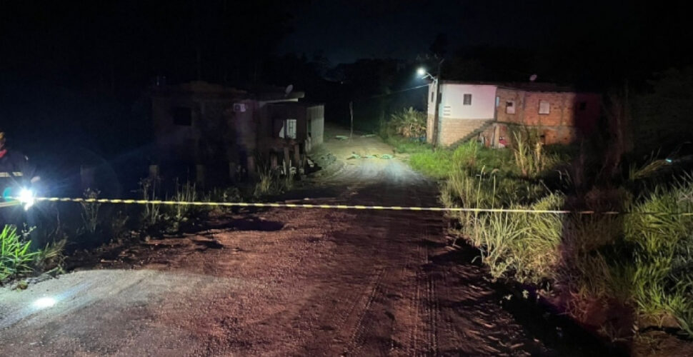 Cães morrem eletrocutados após queda de fios durante tempestade