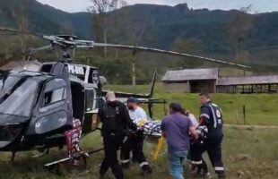 Homem sofre politraumatismos ao ser atingido por Eucalipto, em Treviso