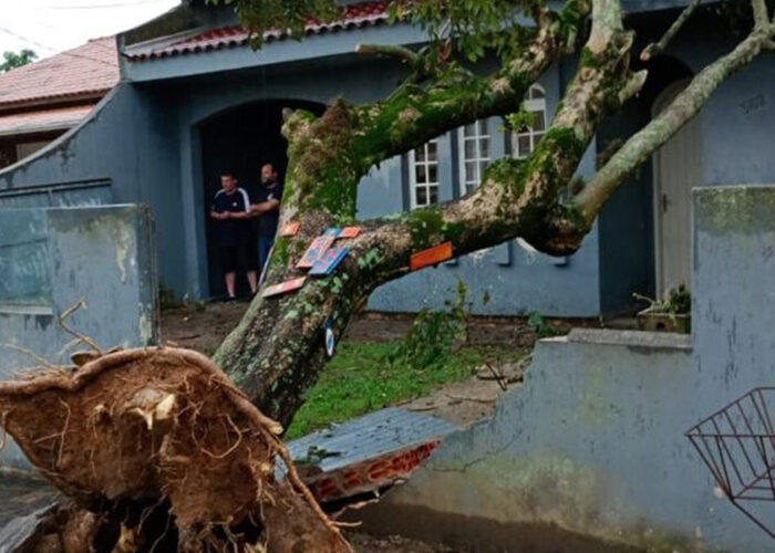 Ventos de até 97,9 km/h causam danos em cidades da região