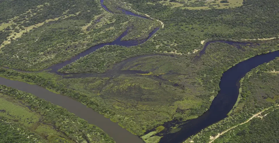 Maior parte da Mata Atlântica tem menos de 30% de vegetação nativa