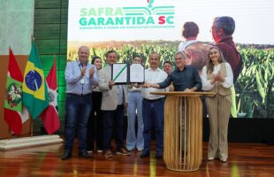 Ano na Agricultura foi marcado por novos programas que garantem renda ao produtor rural catarinense