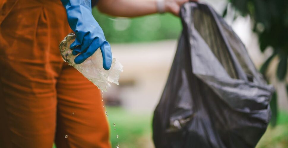 Sábado é dia D: Saúde convoca a população para a mobilização contra a dengue