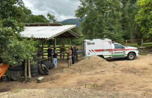 Homem foge de hospital e é encontrado carbonizado em galpão