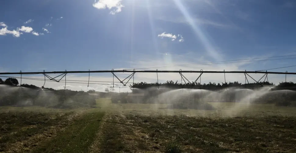 Entenda como ficam as exportações agrícolas após acordo Mercosul-UE