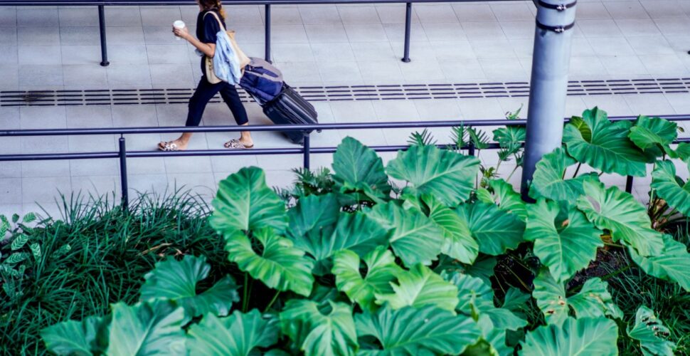 Santa Catarina tem crescimento de 71% no número de turistas internacionais em 2024