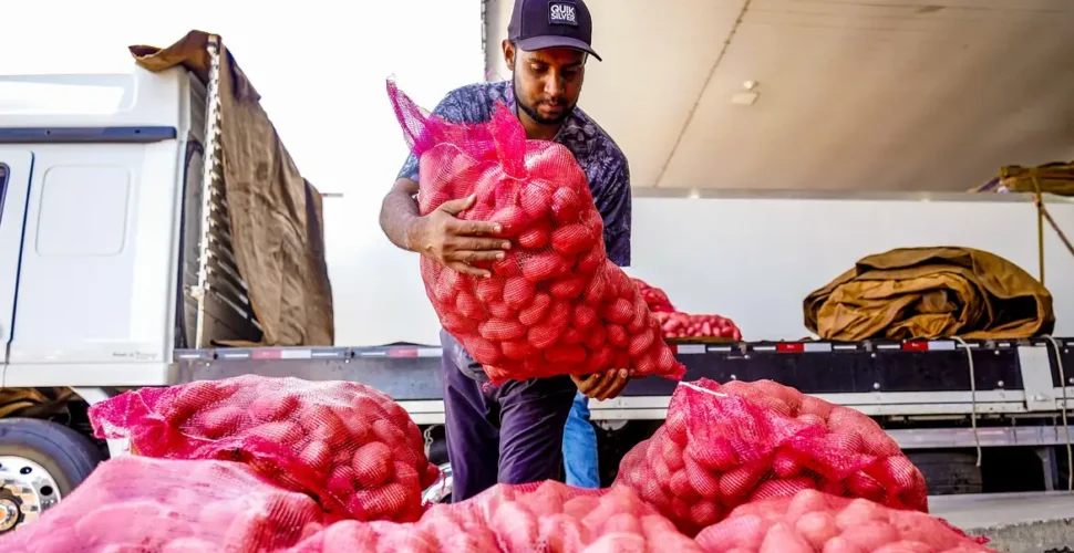 Conab aponta queda de preço da batata e alta da cebola e tomate