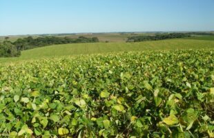 Santa Catarina pode ter La Niña de fraca intensidade entre fevereiro e abril de 2025