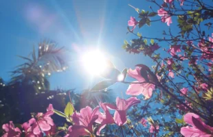 Última semana de fevereiro será de calor intenso e temperaturas de quase 40°C