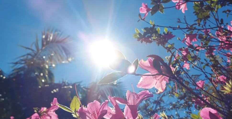 Última semana de fevereiro será de calor intenso e temperaturas de quase 40°C