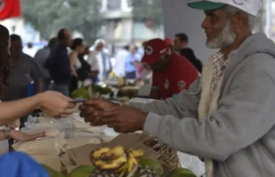 Programa Desenrola Rural entra em vigor nesta segunda-feira