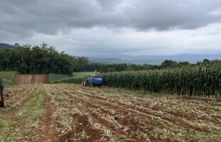 Urussanga: Secretaria de Agricultura amplia produtividade e reforça atendimento ao setor rural