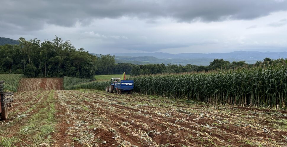 Urussanga: Secretaria de Agricultura amplia produtividade e reforça atendimento ao setor rural