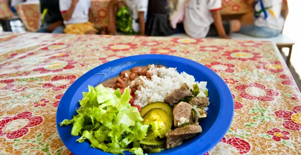 Merenda escolar poderá ter no máximo 15% de alimentos ultraprocessados