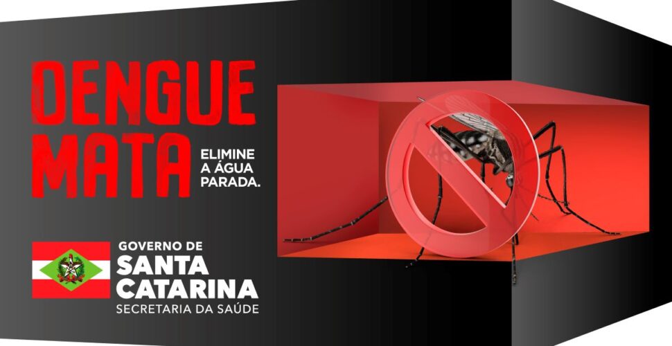 Vigilância Epidemiológica monitora mortes causadas pela Dengue e alerta para aumento de casos