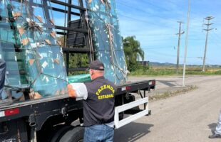 Fazenda flagra R$ 1,2 milhão em mercadorias transportadas irregularmente durante operação no Sul do estado