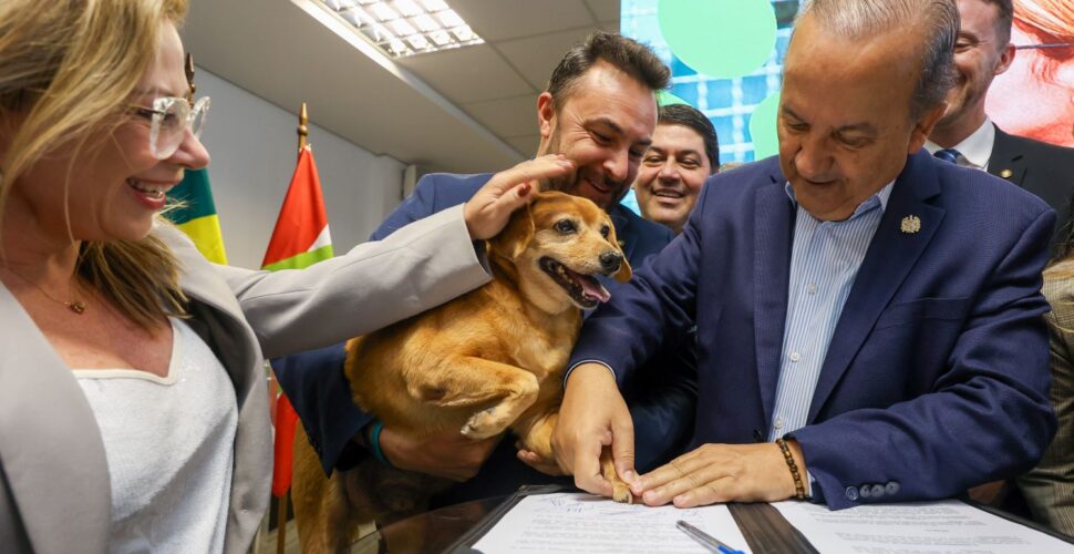 Lançado o maior programa estadual de castração animal do país