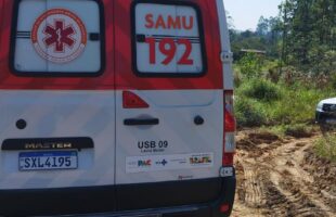 Homem sofre ataque de abelhas no interior de Lauro Müller e é socorrido pelo SAMU com cerca de 300 picadas