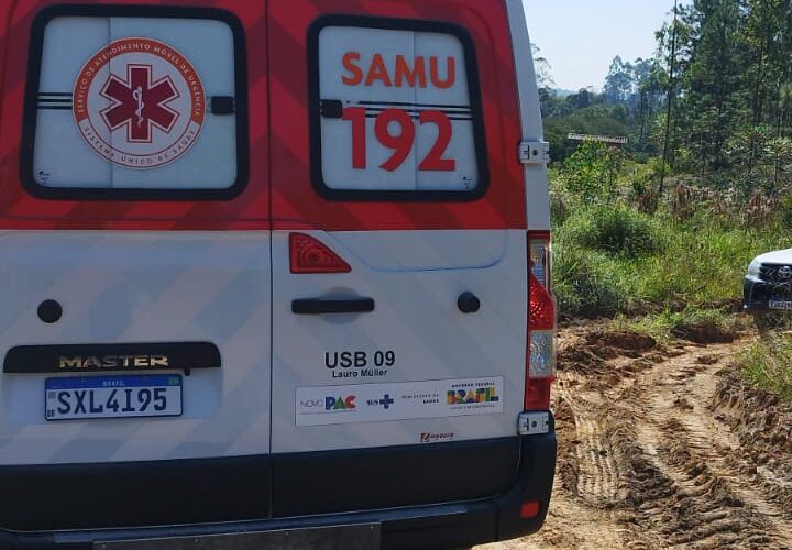 Homem sofre ataque de abelhas no interior de Lauro Müller e é socorrido pelo SAMU com cerca de 300 picadas