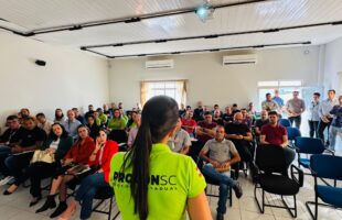 Operação Limpa Fio: Procon SC apresenta projeto para limpar e fiscalizar postes de energia em Santa Catarina