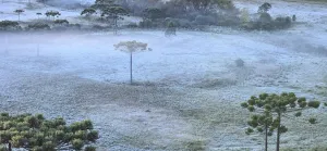 Vale Caminhos da Neve amanhece coberto por geada e registra -1,9ºC em São Joaquim