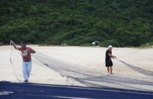 Santa Catarina dá início à temporada da pesca da tainha