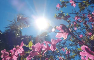 Semana será de sol e temperaturas agradáveis no Sul de Santa Catarina