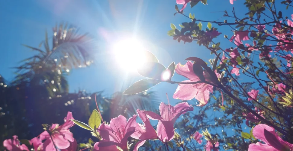 Semana será de sol e temperaturas agradáveis no Sul de Santa Catarina