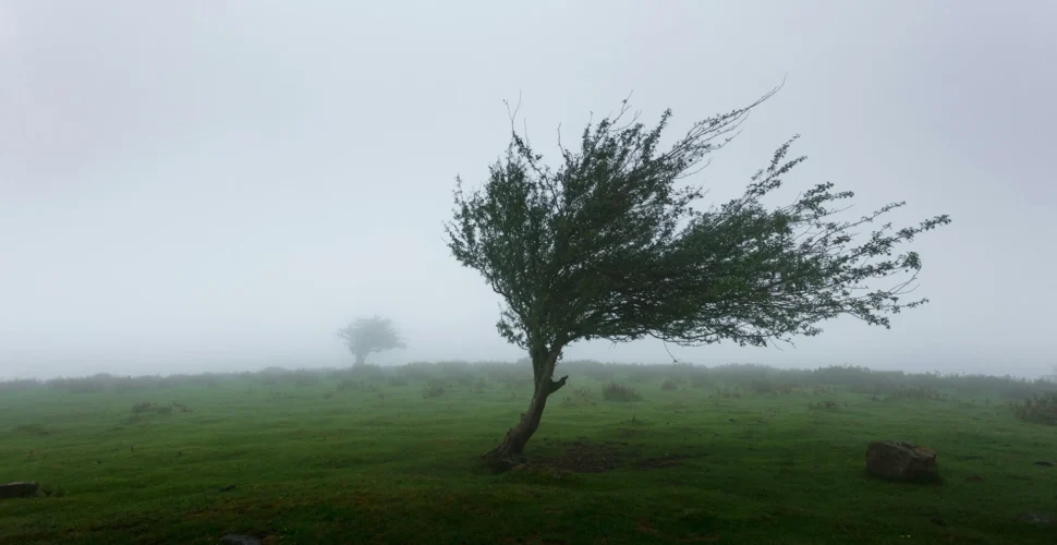 Rajadas de até 100 km/h devem atingir Santa Catarina nesta semana