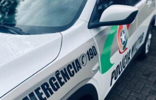 Cão é encontrado esfaqueado em Siderópolis e caso será investigado