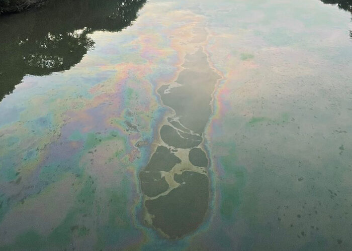 Órgãos investigam mancha de óleo sobre o Rio Tubarão