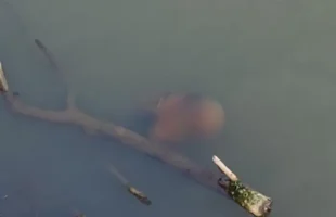 Corpo em estado de decomposição é encontrado no Rio Tubarão