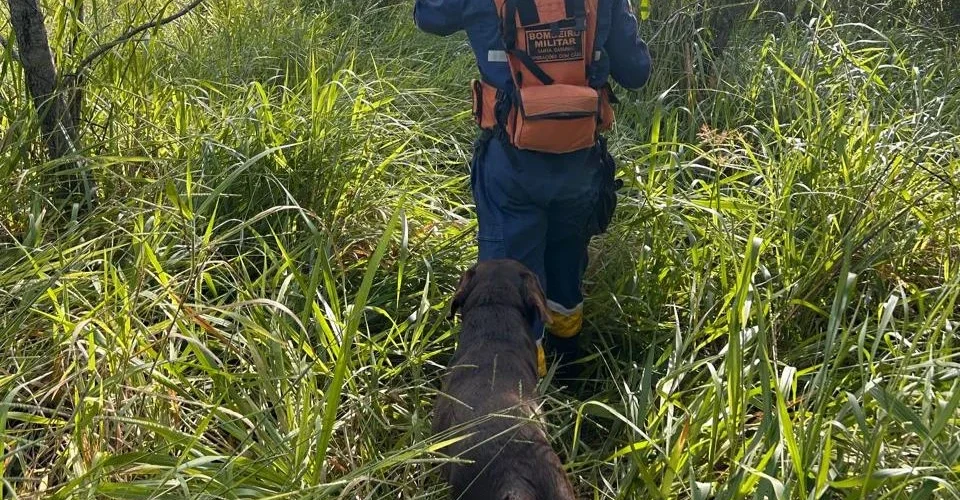 Buscas por idoso desaparecido mobilizam bombeiros em Forquilhinha