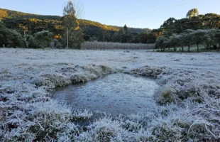 Urupema registra -8°C e geada; frio intenso marca o amanhecer em SC